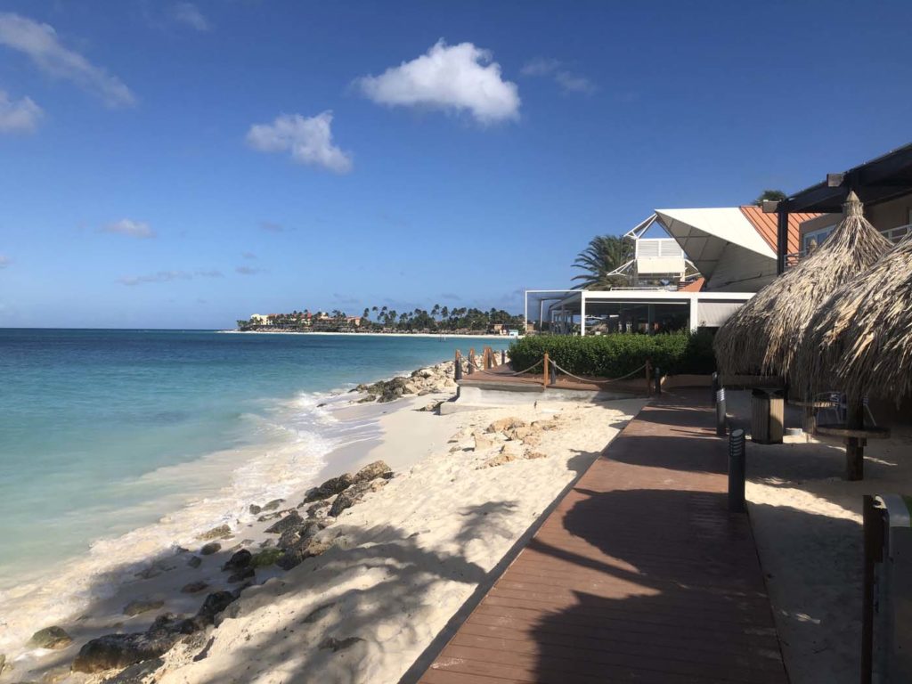 Aruba running on the boardwalk