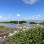 Outer Island Tour